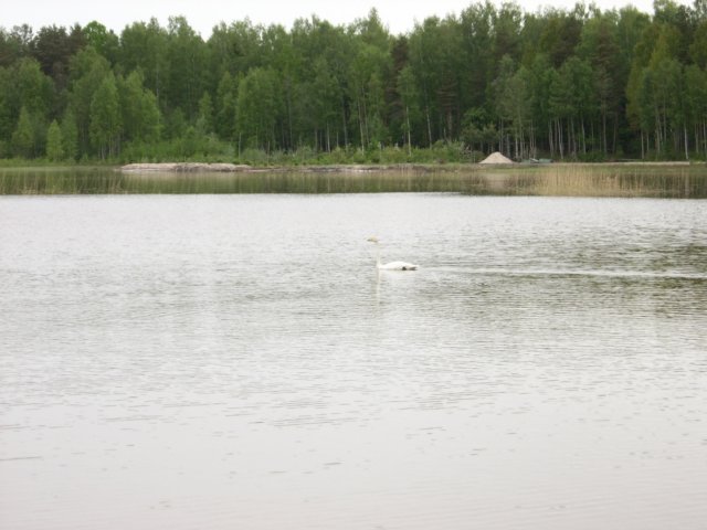 spa50161.jpg